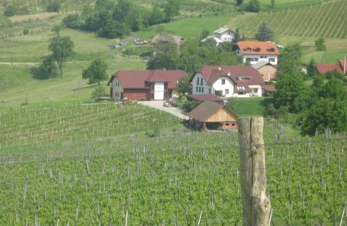 Maribor House | Discover Tourist Farm Joannes: Pet-Friendly & Wheelchair Access