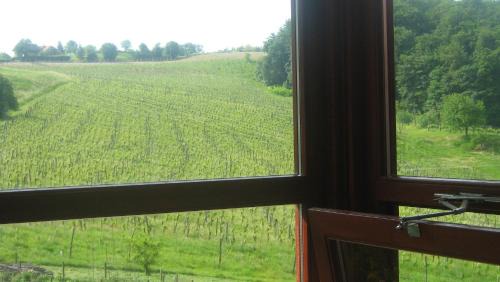 Maribor House | Discover Tourist Farm Joannes: Pet-Friendly & Wheelchair Access