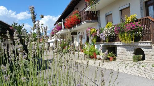 Narin House | Discover Tourist Farm Pri Andrejevih: Pet-Friendly Retreat