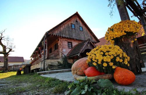 Cerklje ob Krki House | Pet-Friendly Escape at Tourist Farm Pri Martinovih