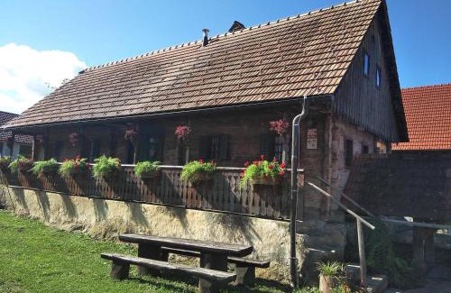 Cerklje ob Krki House | Pet-Friendly Escape at Tourist Farm Pri Martinovih
