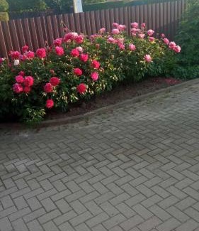 Kedainiai House | Pet-Friendly Town House: Rated 10/10 for Family Comfort
