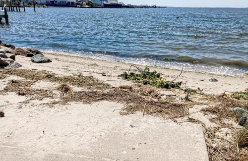 Seabreeze House | Charming Stay at Dewey Beach - 309 Salisbury for Families