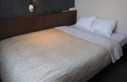 Toyohashi Hotel | Convenient Stay at Toyohashi Station Hotel with Breakfast