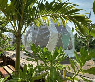 Phan Thiet Cabin | Relax at TP-HOMES PHAN THIẾT with Oceanfront Amenities