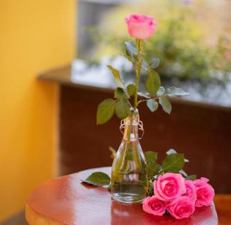 Thuy Xuan House | Guest Rated 10/10 at Trú Homestay Huế