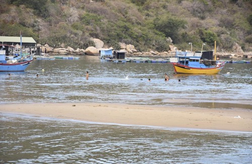 Ninh Hai House | Discover Trúc Nguyên: Vĩnh Hy Homestay with Ocean Views