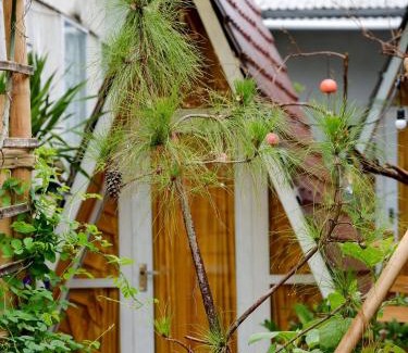 Hue House | Guest Rated Trầm Homestay: Family-Friendly Escape