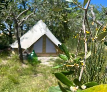 Pieve Salutare Bed & Breakfast | Relax at Tra le Lucciole B&B with Oceanfront Views