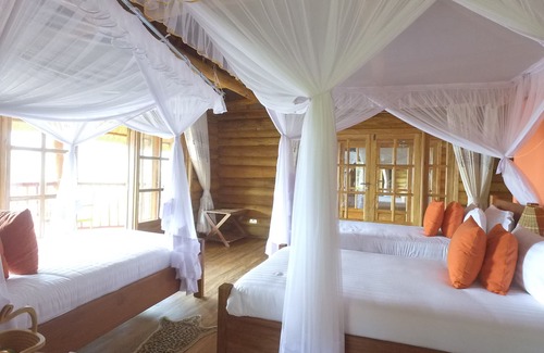 Bwindi Hotel | Experience Nature at Trackers Safari Lodge Bwindi