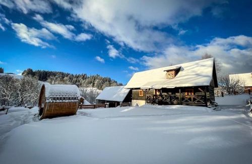 Dolny Kubin Ski Chalet | Cozy Deer Cabin Retreat with Sauna and Ocean View