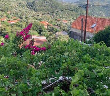 Vournikas Apartment | Traditional House with Breathtaking Views in Makis