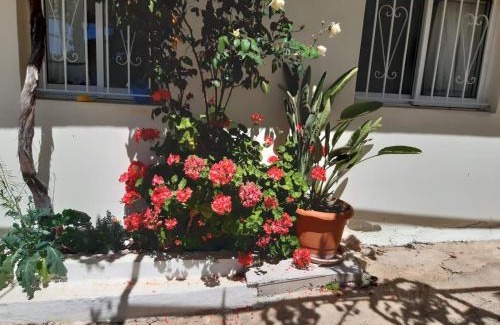 Vournikas Apartment | Traditional House with Breathtaking Views in Makis