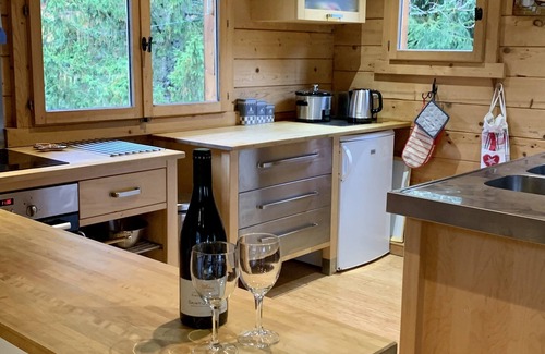 Sixt-Fer-a-Cheval Ski Chalet | Inviting Ski Chalet with Ocean Views & Top Guest Rating 9.8