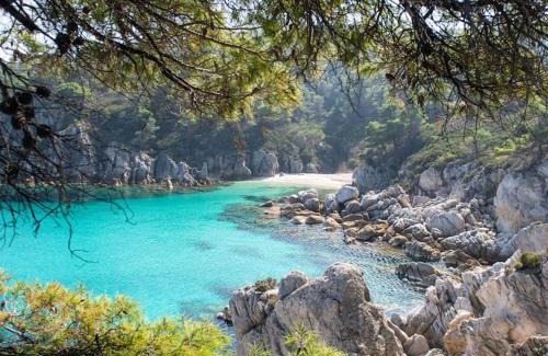 Sikia Apartment | Beachfront Apartment ATHOS SHADOW: Family-Friendly Retreat