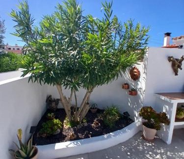 Cala en Porter House | Tramontana Villa: Oceanfront Oasis with Pool & 9.7 Rating