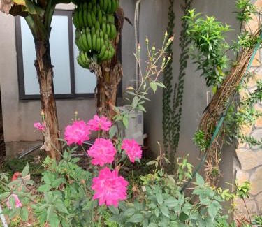Hoa Lu House | Exceptional Trang An Peaceful Homestay with Hot Tub & Pool