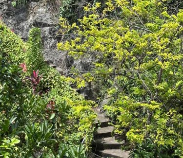 Hoa Lu House | Pet-Friendly Trang An ViewPoint Homestay with Pool & Breakfast