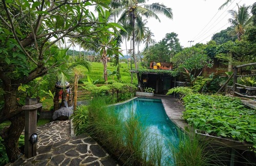 Sukasada Villa | Serene 4 Bedroom Villa with Rice Terrace and Pool Access