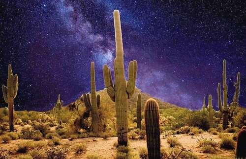 Florence RV Rental | Tranquil Bell tent near Tucson