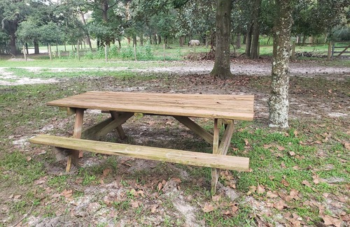 Lecanto House | Peaceful Forest Retreat: Pool, Family-Friendly & Top-Rated