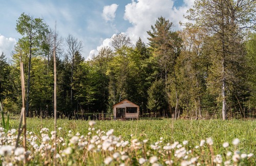 Bobcaygeon Ski Chalet | Tranquil Oasis in Trent Lakes w/Private Ponds, Fire Pit, Game Room & Hot Tub