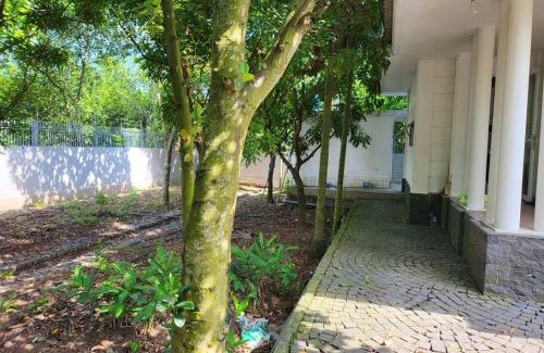 Khoai Chau Villa | Peaceful Villa Retreat in HungYen Countryside, Pet Friendly