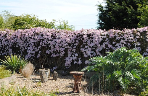 Orston House | Tranquil, rural retreat with outstanding views and gardens.