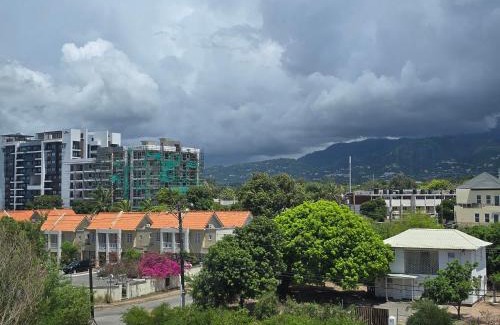New Kingston Apartment | Tranquil Vibes Villa-Near AC Hotel
