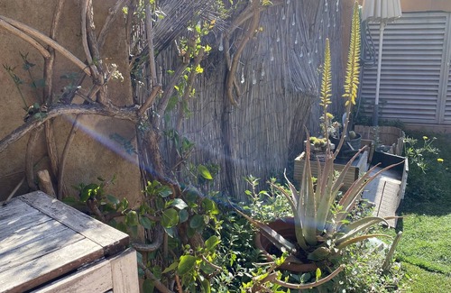 Teia House | Idyllic Garden Retreat - Family & Pet Friendly Escape