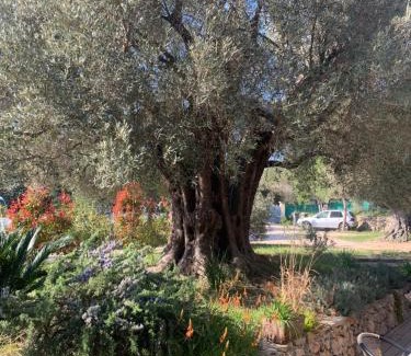 Bandol House | Tranquilité