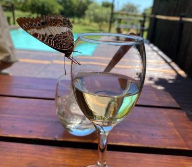 Cullinan House | Relaxing Retreat at Tranquillity Day Spa & Lodge