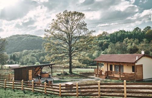 Bradut House | Unwind at Transylvania Forest Haven - Family-Friendly Cabin