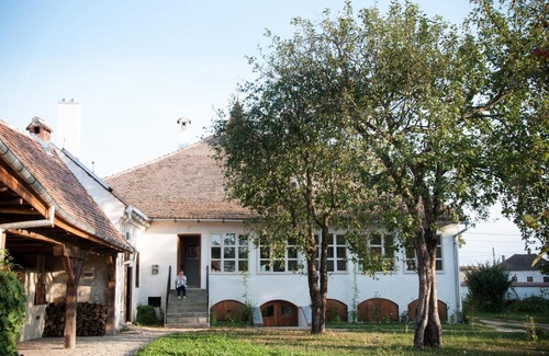 Cincsor House | Top-Rated Transylvania Guesthouses with Pet-Friendly Amenities