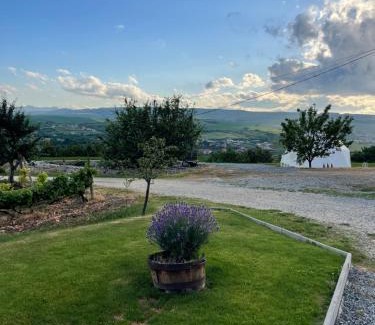 Turda Bed & Breakfast | Transylvania WINE