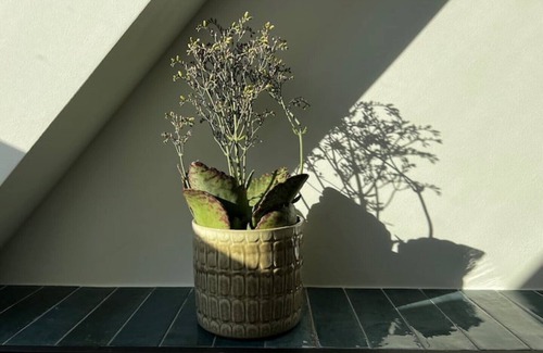 Fliegenberg Apartment | Beautiful Apartment by the Elbe River near Hamburg