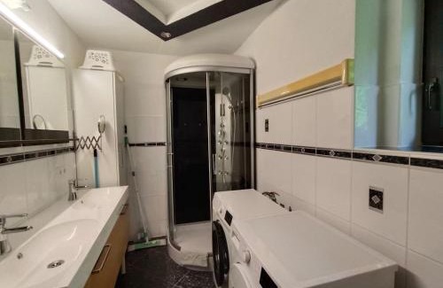 Altmuenster Apartment | Traunsee Apartment