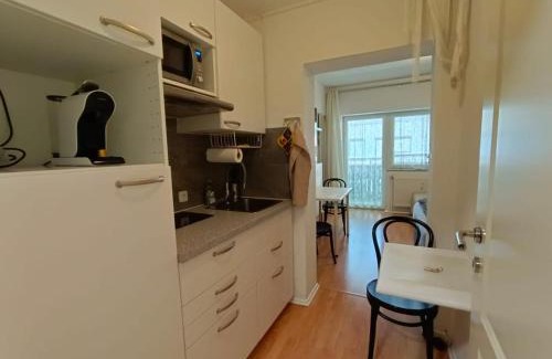 Altmuenster Apartment | Traunsee Apartment