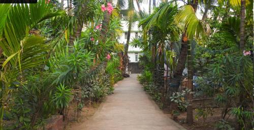 Murud-Harnai Other | Experience Travel Moody Campsite with Ocean View and More