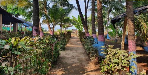 Murud-Harnai Other | Experience Travel Moody Campsite with Ocean View and More