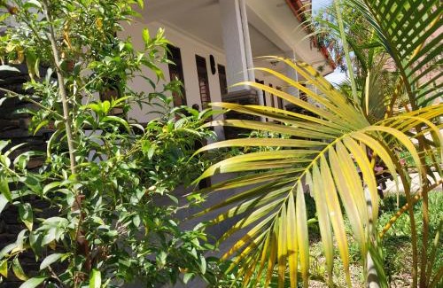 Kampala Apartment | Enchanting Tropical Leaf-Fall: Family-Friendly Retreat