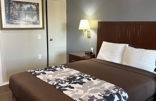 Downtown Eugene Hotel | Convenient Stay at Travelers Inn Eugene University