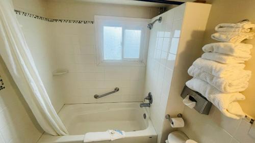 East Kootenay Hotel | Budget-Friendly Stay at Travellers Motel - Pet Friendly and Cozy