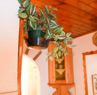 Pie Falcade Apartment | Bellavista sulle Dolomiti: Family-Friendly Retreat Awaits