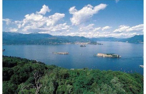 Localita Tre Ponti Resort | Tre Ponti Monolocale: Family & Pet-Friendly Retreat