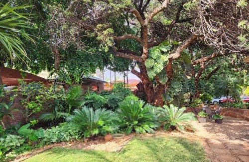 Mokopane House | Relax at Tree Aloe Guest House with Family-Friendly Amenities