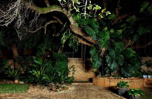 Mokopane House | Relax at Tree Aloe Guest House with Family-Friendly Amenities