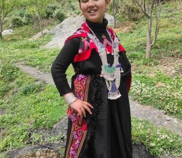 Banjar Ski Chalet | Tree cottage Jibhi