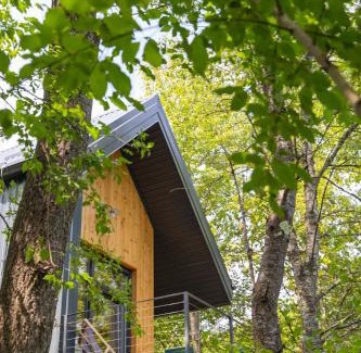 Slunj Apartment | Tree Elements Treehouse Retreat - Pet Friendly & Scenic Escape