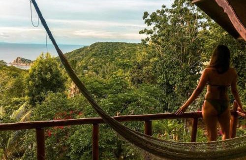 Koh Tao Hotel | Pet-Friendly Tree House Bungalows with Oceanfront Views